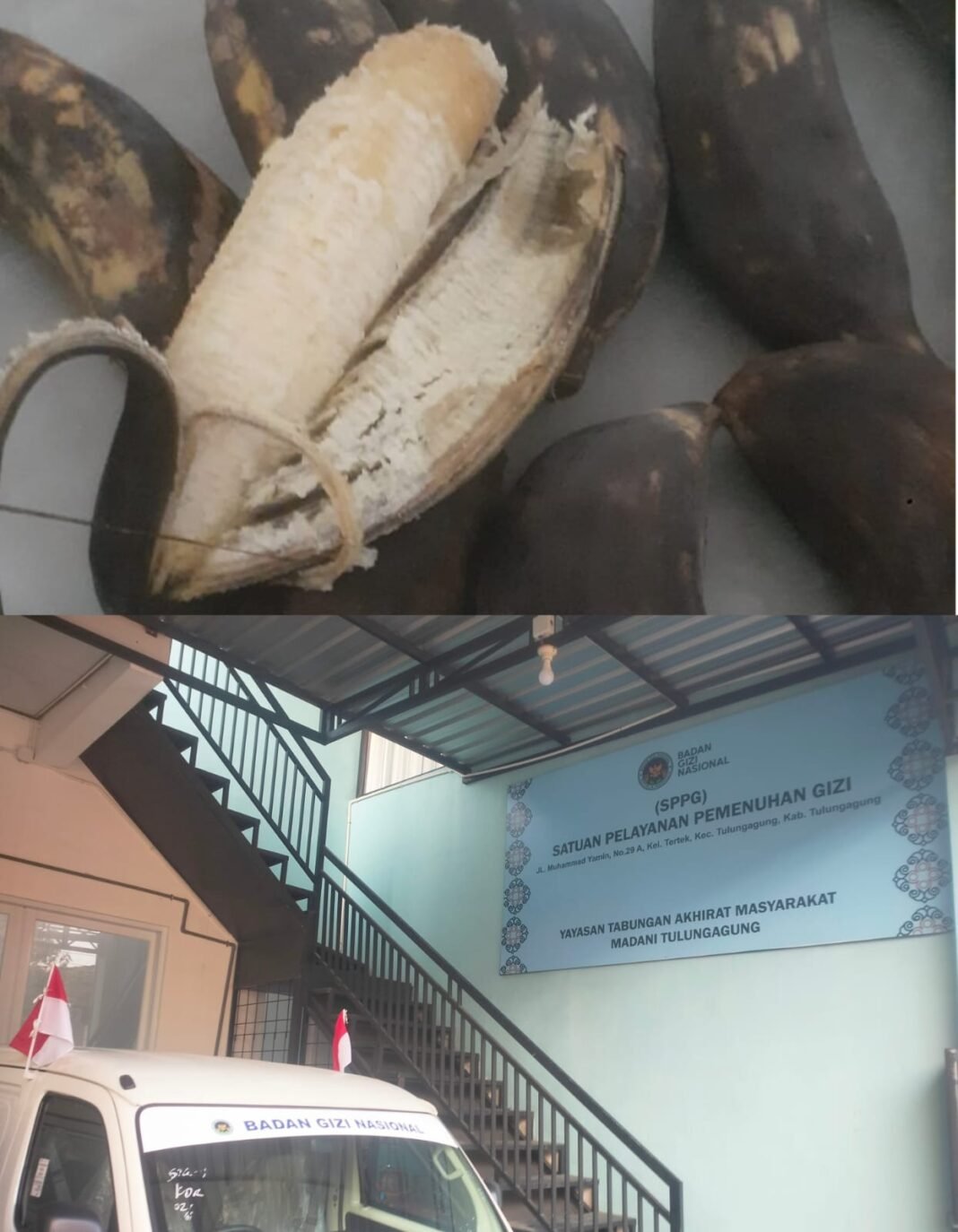 Soal Pisang Busuk di SD Tertek 1: Klarifikasi SPPG Tertek Dinilai Lempar Tanggung Jawab ke Sekolah Soal Pisang Busuk di SD Tertek 1: Klarifikasi SPPG Tertek Dinilai Lempar Tanggung Jawab ke Sekolah