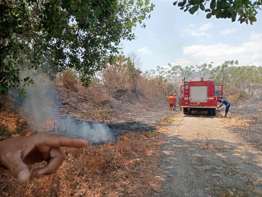 Kolaborasi Babinsa, Damkar, dan Warga Padamkan Kebakaran Lahan di Desa Romangloe Kolaborasi Babinsa, Damkar, dan Warga Padamkan Kebakaran Lahan di Desa Romangloe