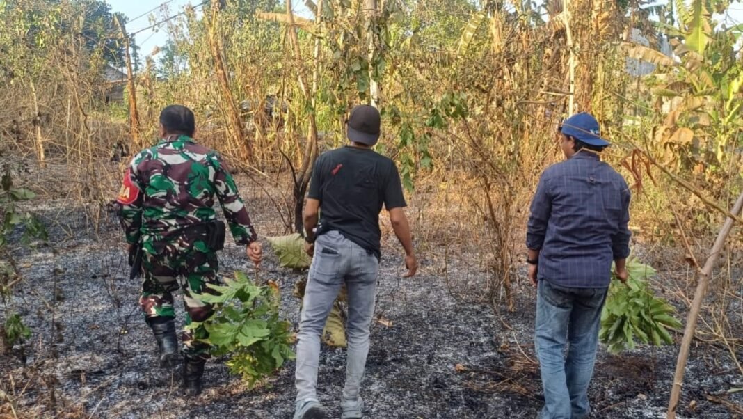Sinergi Cepat TNI-Polri dan Damkar Padamkan Kebakaran Lahan di Pattallassang Gowa Sinergi Cepat TNI-Polri dan Damkar Padamkan Kebakaran Lahan di Pattallassang Gowa