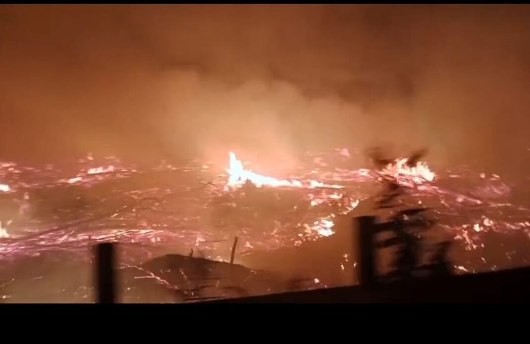 Malam Mencekam di Sukamaju, Tim Fire Pertamina Pendopo Field Berjibaku Jinakkan Karhutla Malam Mencekam di Sukamaju, Tim Fire Pertamina Pendopo Field Berjibaku Jinakkan Karhutla