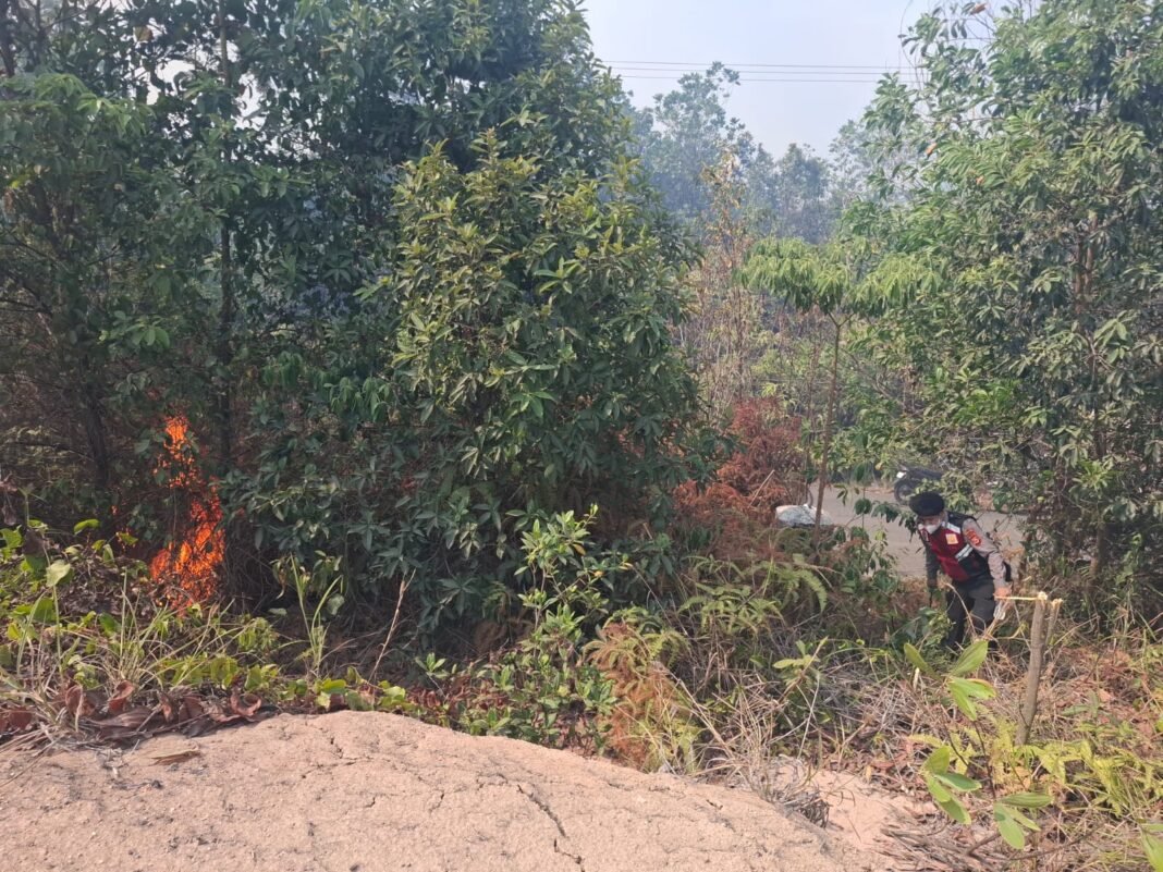 Gerak Cepat Tim Karhutla Muara Enim Berbuah Manis, Api Lahap 1 Hektare Lahan Berhasil Dijinakkan Gerak Cepat Tim Karhutla Muara Enim Berbuah Manis, Api Lahap 1 Hektare Lahan Berhasil Dijinakkan
