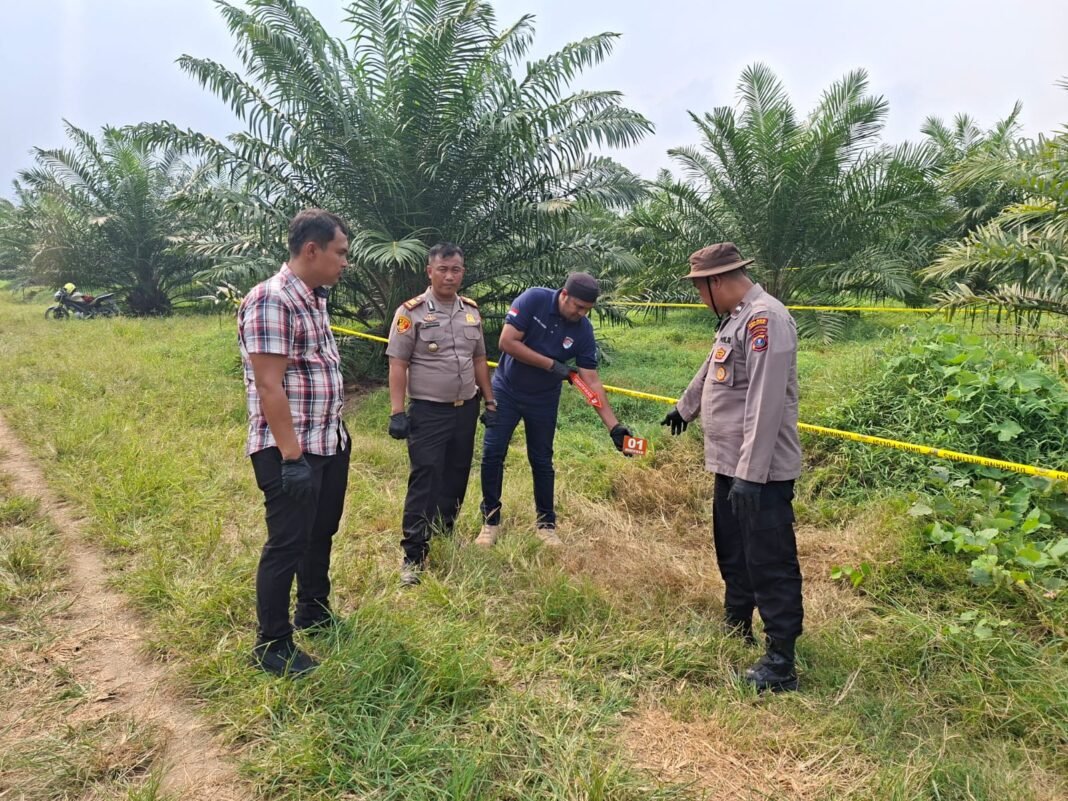 Polres Simalungun Olah TKP Penemuan Wanita Diareal Perkebunan Polres Simalungun Olah TKP Penemuan Wanita Diareal Perkebunan