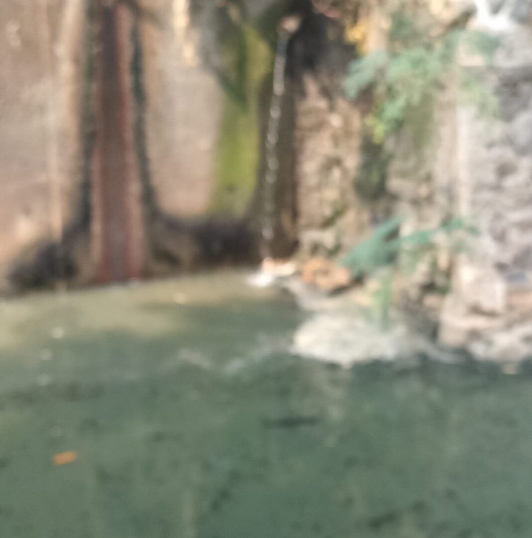 Diduga Ayam Potong Buangan Air Limbah Sangat Bau Dan Bulu Ayam di Buang Ke kali Sampe Berbusa Putih Diduga Ayam Potong Buangan Air Limbah Sangat Bau Dan Bulu Ayam di Buang Ke kali Sampe Berbusa Putih