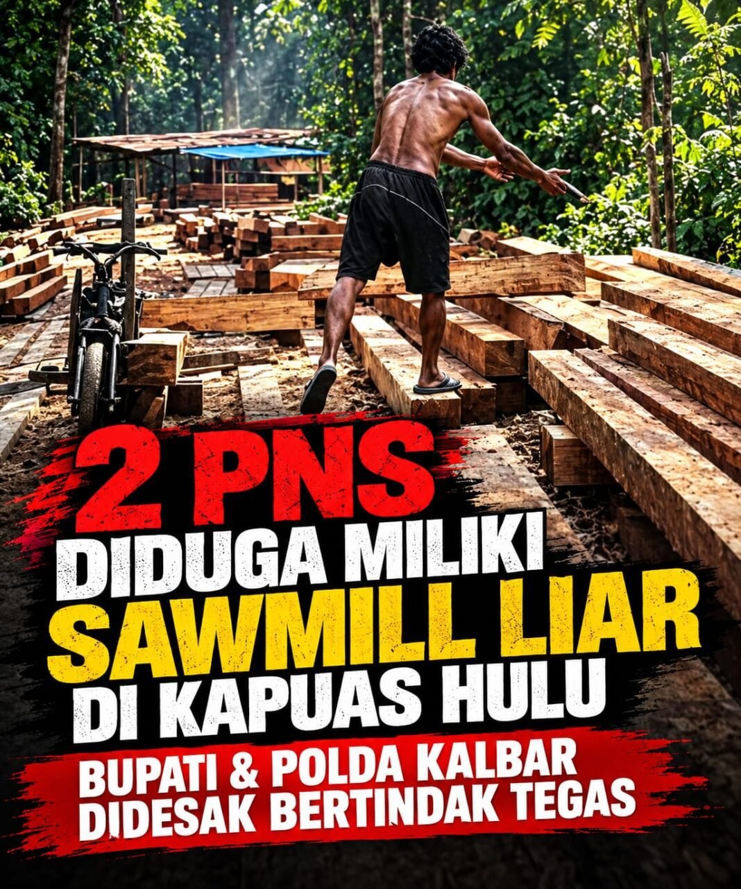 2 PNS diduga miliki Sawmill Liar Di Kapuas Hulu. Bupati Dan Polda Kalbar Harus Ambil Tindakan Tegas 2 PNS diduga miliki Sawmill Liar Di Kapuas Hulu. Bupati Dan Polda Kalbar Harus Ambil Tindakan Tegas