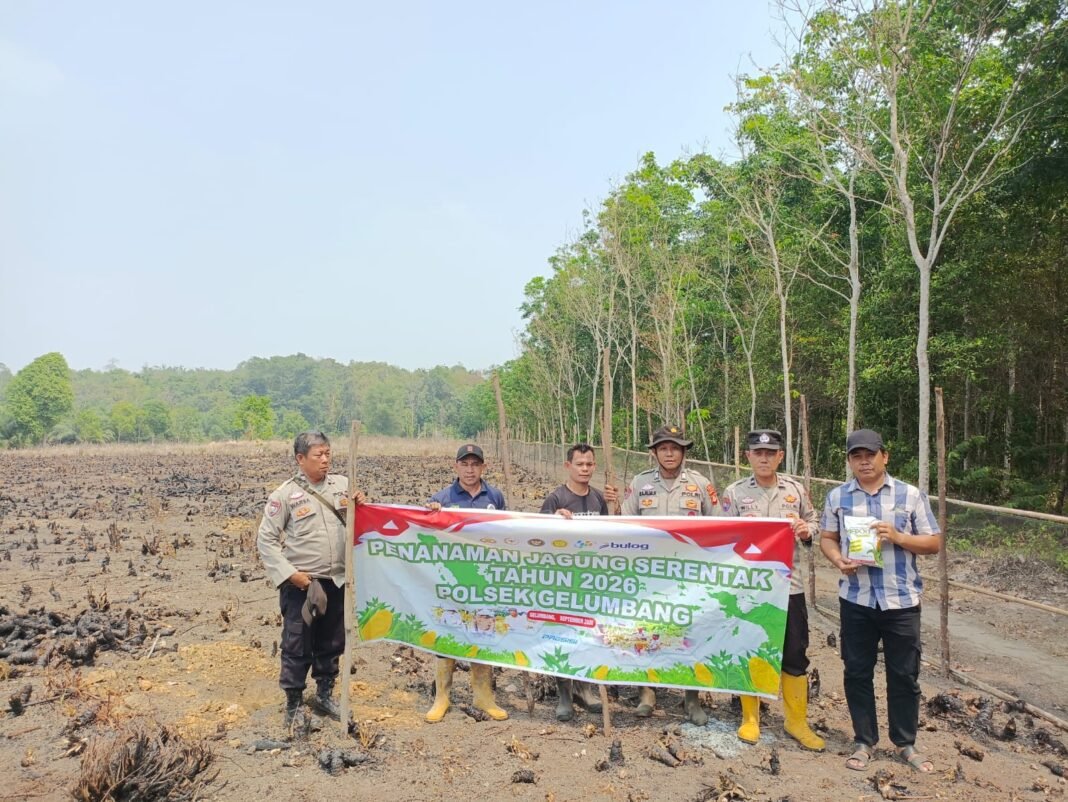 Tanam Jagung 2 Hektare, Polsek Gelumbang Dukung Ketahanan Pangan di Pelempang Tanam Jagung 2 Hektare, Polsek Gelumbang Dukung Ketahanan Pangan di Pelempang