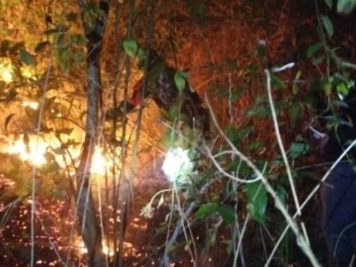 Lahan Kebun Seluas 1,5 Hektar di Gowa Hangus Terbakar, Warga dan Babinsa Sigap Padamkan Api Lahan Kebun Seluas 1,5 Hektar di Gowa Hangus Terbakar, Warga dan Babinsa Sigap Padamkan Api