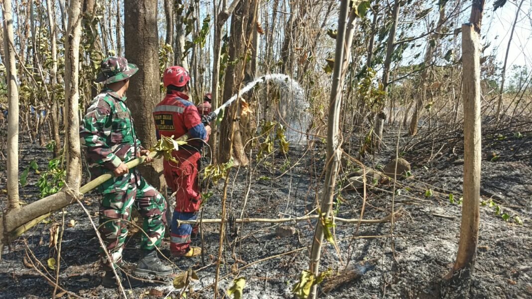 Aksi Cepat Babinsa dan Damkar Padamkan Kebakaran Lahan Seluas 1 Hektar di Gowa Aksi Cepat Babinsa dan Damkar Padamkan Kebakaran Lahan Seluas 1 Hektar di Gowa