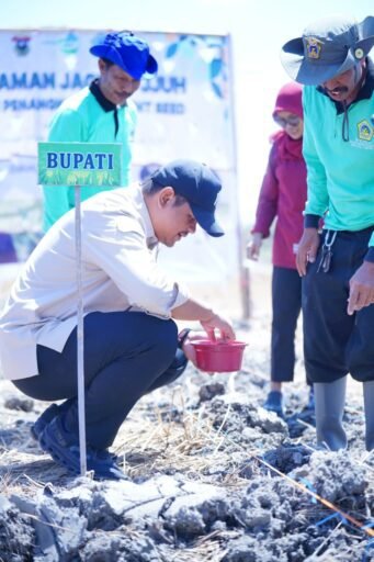 Menuju Swasembada Jagung, Bupati Bantaeng Bersama Unhas Tanam Jagung JJUH Menuju Swasembada Jagung, Bupati Bantaeng Bersama Unhas Tanam Jagung JJUH
