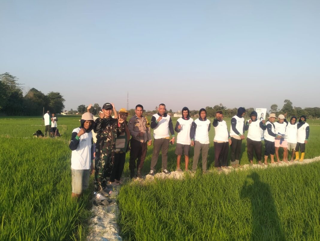 Dukung Swasembada Pangan, Babinsa Koramil Bajeng Dampingi Sosialisasi Aplikasi Antiji di Gowa Dukung Swasembada Pangan, Babinsa Koramil Bajeng Dampingi Sosialisasi Aplikasi Antiji di Gowa