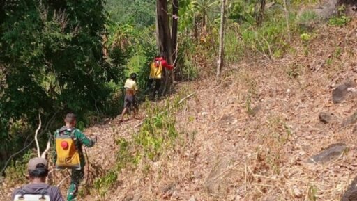 Gerak Cepat Padamkan Kebakaran Lahan di Gowa, Sinergi TNI dan Manggala Agni Buat Hasil Nyata Gerak Cepat Padamkan Kebakaran Lahan di Gowa, Sinergi TNI dan Manggala Agni Buat Hasil Nyata