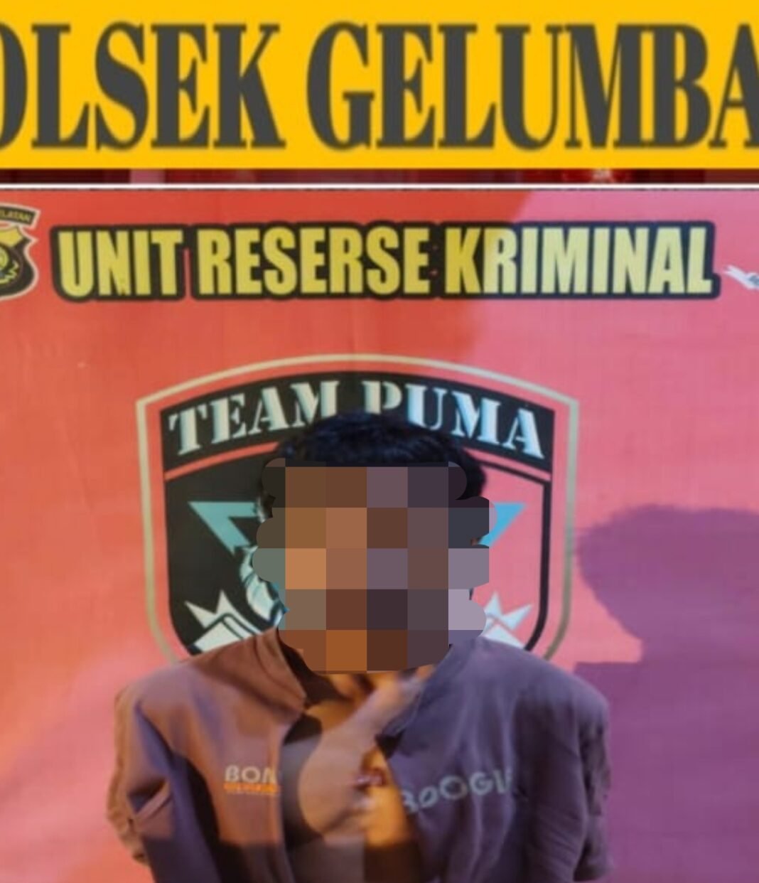 Getah Karet 50 Kg Dicuri, Polsek Gelumbang Amankan Terduga Pelaku di Rumahnya Getah Karet 50 Kg Dicuri, Polsek Gelumbang Amankan Terduga Pelaku di Rumahnya