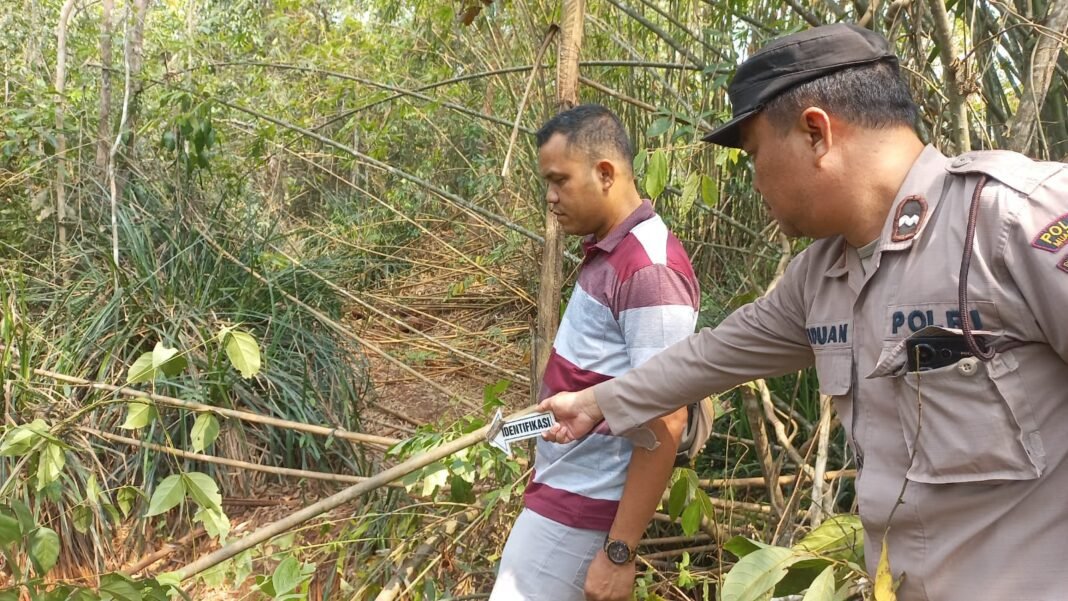 Viral di Medsos, Diduga Beruang Hitam Muncul Dua Hari di Sungai Rambang Muara Enim Viral di Medsos, Diduga Beruang Hitam Muncul Dua Hari di Sungai Rambang Muara Enim