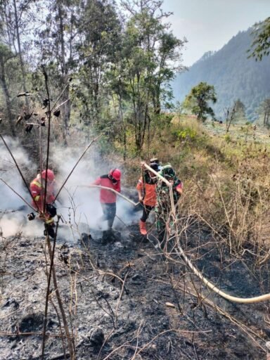 Babinsa Bersama Aparat dan Warga Berhasil Padamkan Kebakaran Lahan Seluas 6 Hektare di Pattapang Gowa Babinsa Bersama Aparat dan Warga Berhasil Padamkan Kebakaran Lahan Seluas 6 Hektare di Pattapang Gowa