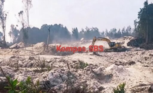 “Tidak Mungkin Tambang Ilegal Tanpa Beking Aparat”, PETI Sejotang Kembali Menantang Hukum “Tidak Mungkin Tambang Ilegal Tanpa Beking Aparat”, PETI Sejotang Kembali Menantang Hukum