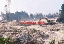 Tambang Emas Ilegal Kembali Bergerak di Tayan Hilir, Kapolri dan Panglima TNI Didesak Bertindak