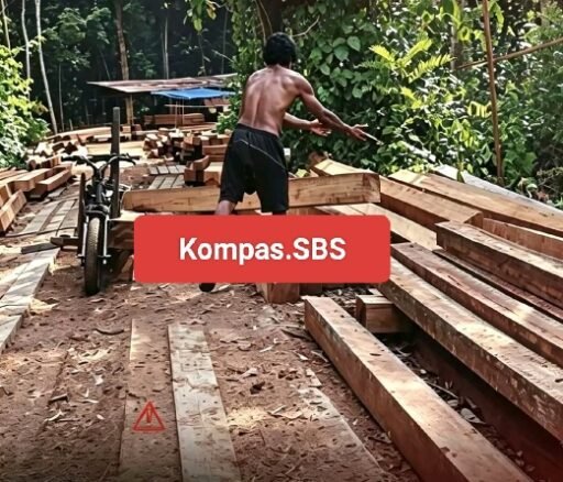 Dugaan 2 Oknum PNS Ikut Bisnis Sawmill Liar, Bupati Kapuas Hulu dan Polda Kalbar Didesak Bertindak Dugaan 2 Oknum PNS Ikut Bisnis Sawmill Liar, Bupati Kapuas Hulu dan Polda Kalbar Didesak Bertindak
