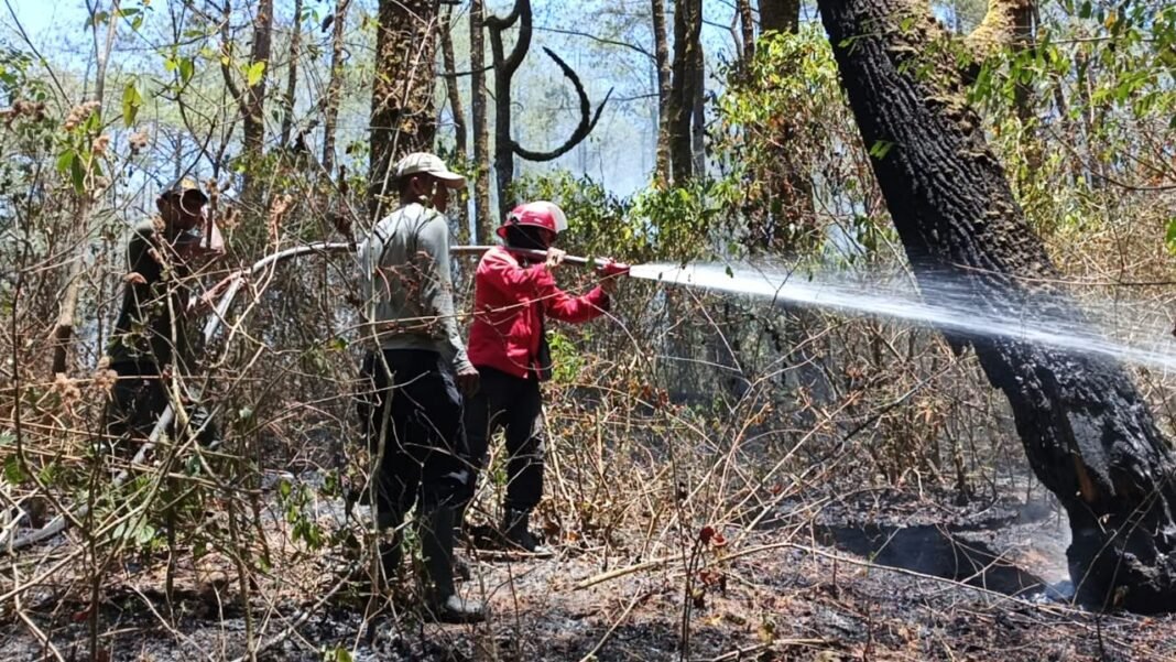 Siaga dan Gotong Royong, Tim Gabungan Berhasil Jinakkan Kebakaran Lahan Seluas 7 Hektare di Malino Gowa Siaga dan Gotong Royong, Tim Gabungan Berhasil Jinakkan Kebakaran Lahan Seluas 7 Hektare di Malino Gowa