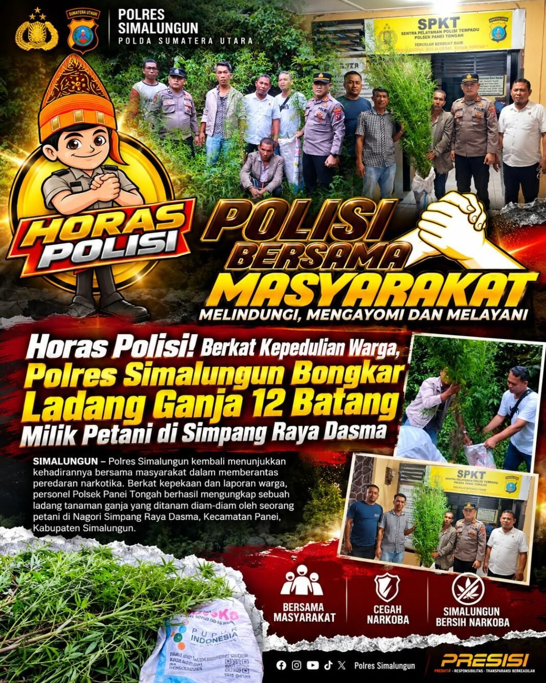 Horas Polisi : Polres Simalungun Bongkar Ladang Ganja Milik Petani di Simpang Raya Dasma Horas Polisi : Polres Simalungun Bongkar Ladang Ganja Milik Petani di Simpang Raya Dasma