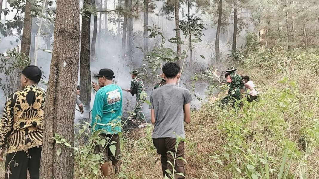 Danramil Bringin Bersama BPBD Sosialisasikan Penanggulangan Bencana dan Pengetahuan Hukum Danramil Bringin Bersama BPBD Sosialisasikan Penanggulangan Bencana dan Pengetahuan Hukum