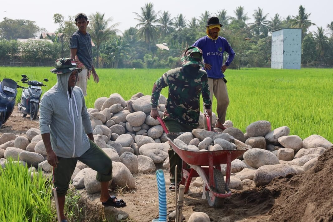 Sinergi TNI dan Rakyat, Pengerjaan Jalan Tani TMMD Ke-130 di Gowa Terus Digenjot Sinergi TNI dan Rakyat, Pengerjaan Jalan Tani TMMD Ke-130 di Gowa Terus Digenjot