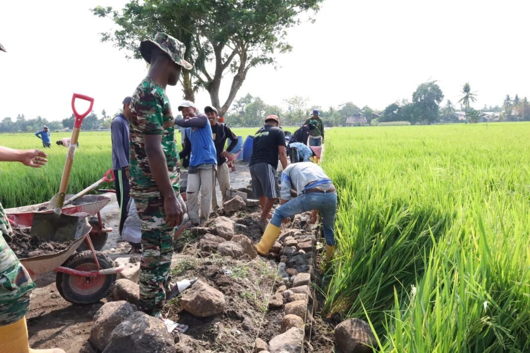 Progres 33%, Talud Penahan Tanah di Kalebarembeng Semakin Kokoh Progres 33%, Talud Penahan Tanah di Kalebarembeng Semakin Kokoh